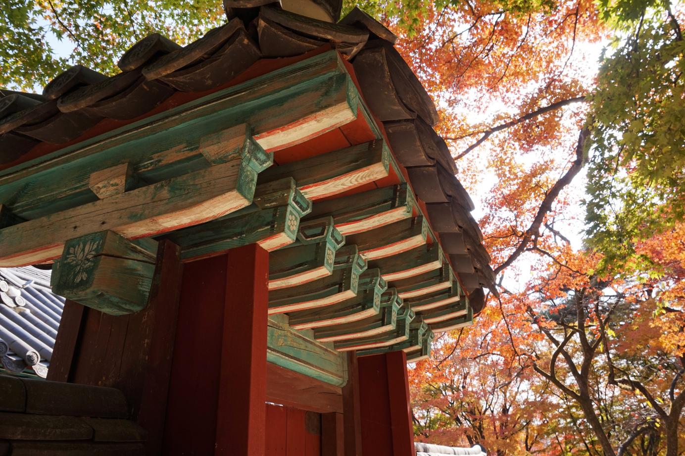 bulguksa-temple-1604556